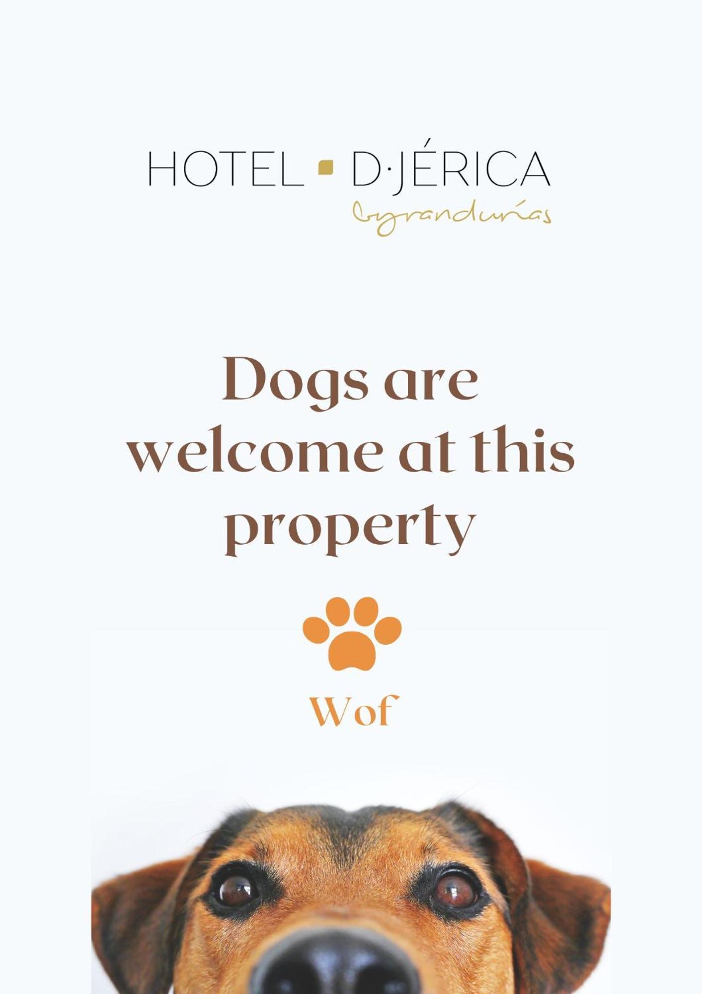 Hotel De Jérica Εξωτερικό φωτογραφία